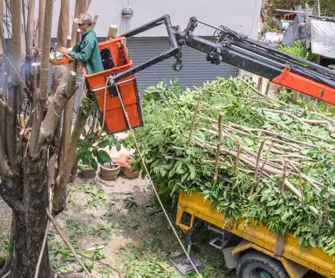 Tree Cutting - Big Easy Tree Removal