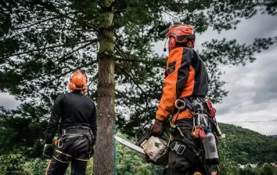 Tree surgeon Preserving Trees